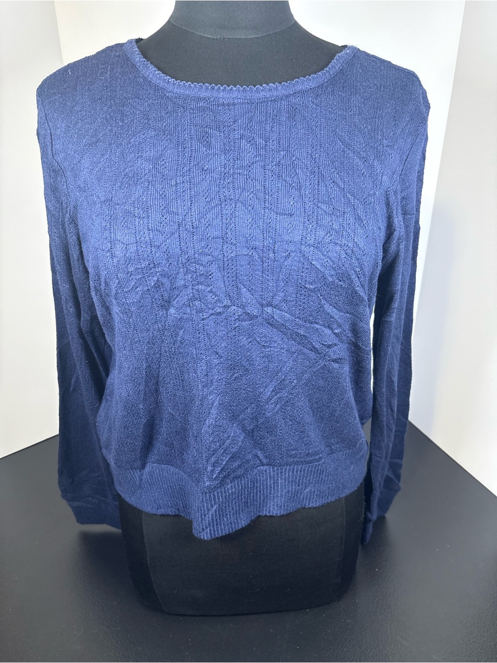 LOFT Navy Crewneck Cable-Textured Sweater